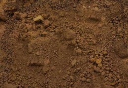 较不走运之人的面相特征（较不走运之人的面相特征是什么）