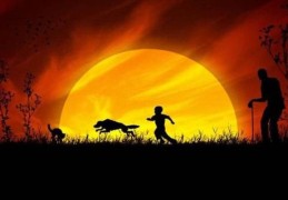 八字官杀混杂的格局