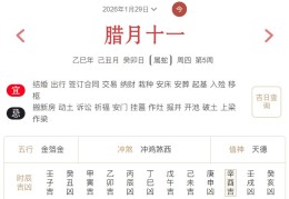 2026年1月29日每日五行穿衣指数解读搭配