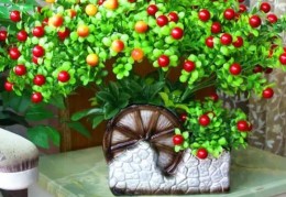 住宅桌子摆放什么花招财