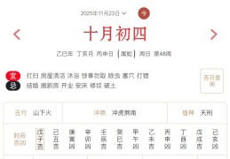 2025年11月23日每日五行穿衣指数解读搭配