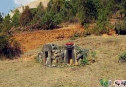 能出官贵的坟地风水