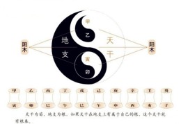 八字天干知识全解