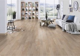 客厅地板颜色选择风水