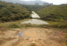 初识风水砂与水