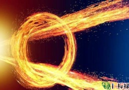 八字从比格详解大全