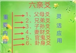 六爻六亲指哪六亲，六爻六亲取象