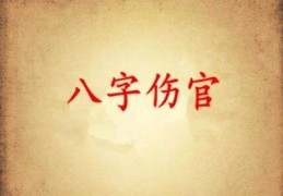 男命伤官都代表什么