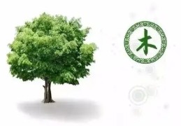 八字木多破解方法