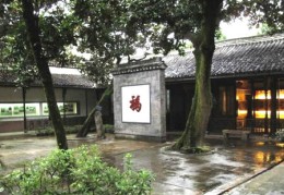 办公室植物风水与禁忌