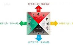 地支亥卯未三合木局代表什么