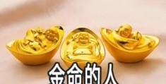 金命人是什么意思