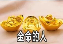 金命人是什么意思