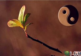 八字断生死的方法，寿元星看生死