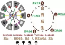 八字中十天干五合要如何理解