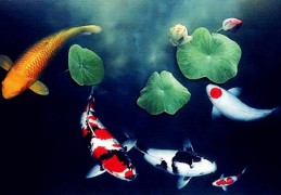 风水中鲤鱼图有什么寓意