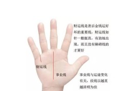 ​贫穷命的手相什么样