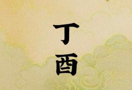 丁酉日出生的人命好吗，丁酉日各个时辰吉凶