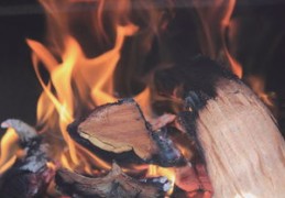 八字五行火旺缺土的人怎么办（八字五行火旺缺土的人怎么办呢）