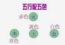 木命最适合的颜色