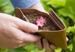 家里破财的风水有哪些