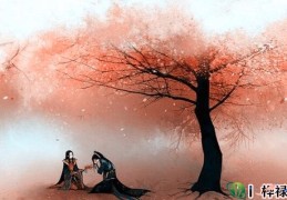 女生招正桃花运的方法