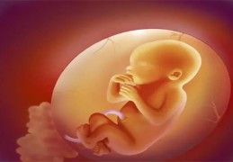 八字胎元命宫的作用