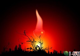 丁火日元生于各月