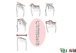 六种脚型什么命