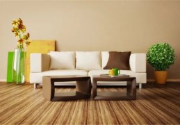 客厅花草选择风水讲究