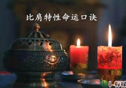 ​比肩特性命运口诀