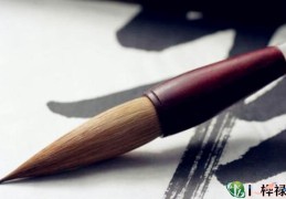 八字测学历方法，​八字伤食测学历