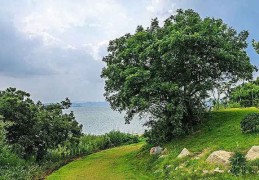 八字分析寿命长短技巧