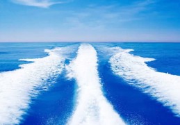 晚年无儿无女的女人面相（晚年无儿无女的女人面相特征）