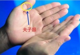 贤妻良母的手相特征