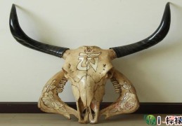 家里千万不能摆的不祥物