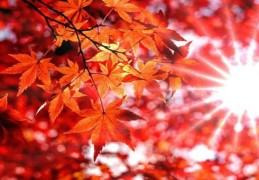 盲派八字断应期歌诀，民间八字断应期歌诀