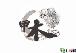 十天干甲木详解