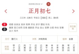 2025年2月4日每日五行穿衣指数解读搭配