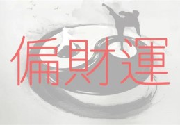 八字走偏财运（八字走偏财运好吗）