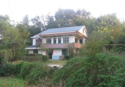 八字看阳宅风水案例