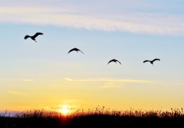 盲派八字看命运口诀详解