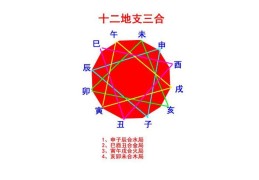 八字十二地支相合