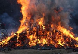 什么样的八字缺火（什么样的八字缺火却不需要火的）