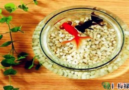 八字看你是不是适合养鱼