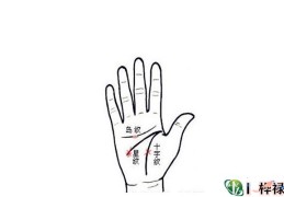 手相纹路的识别与看法