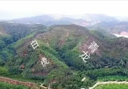 阴宅龙虎砂断秘诀