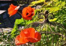 女人有好运势的手相（女人有好运势的手相图解）