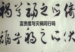 八字看富贵与灾祸的关系（八字看富贵与灾祸的关系是什么）