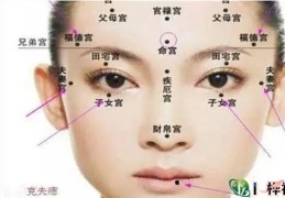 脸上吉痣长在哪里
